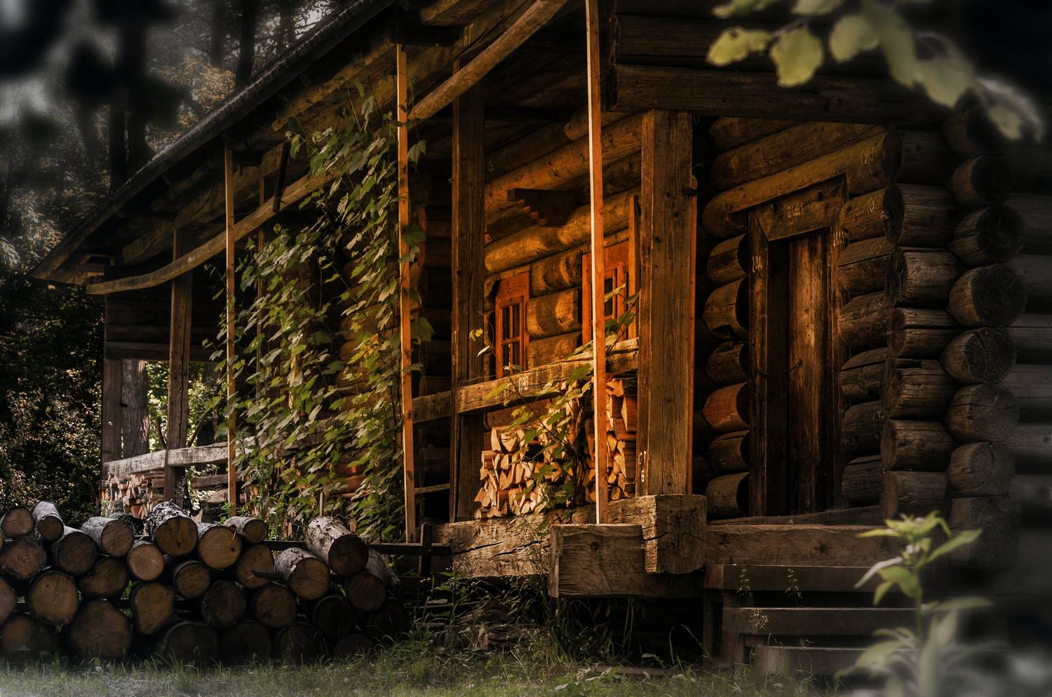 Jak budowano drewniane domy