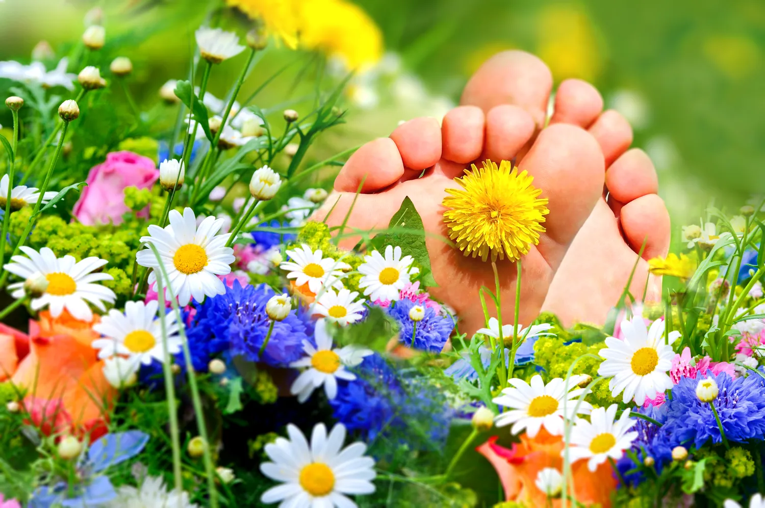 Pedicure leczniczy - co na ten temat wiedzieć trzeba?